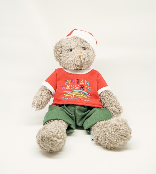 Teddy Bear Christmas